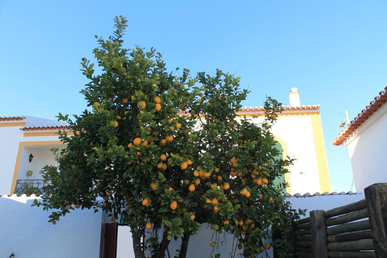 Casa Do Pateo Hotel Vila Nova da Baronia ภายนอก รูปภาพ